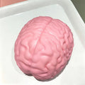 Overthinker's GIANT Squishy Brain
